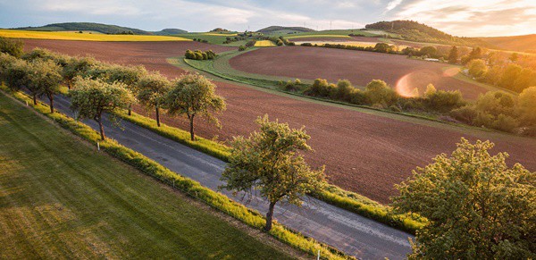 Aus der Presse: Heißer Sommer zeigt, wie wichtig Grünflächen sind