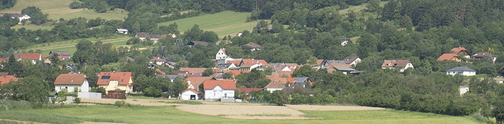 Örtliche Raumordnung in der Stadtgemeinde Ternitz